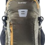 COLUMBIA SPODENKI MĘSKIE SILVER RIDGE II CARGO SHORT CROUTON-32