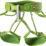 Salewa Butelka Isarco Lightweight 0,6L (5295810)